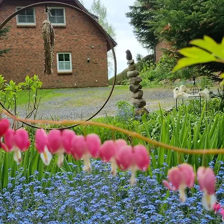 Schleiwiese Holiday home *